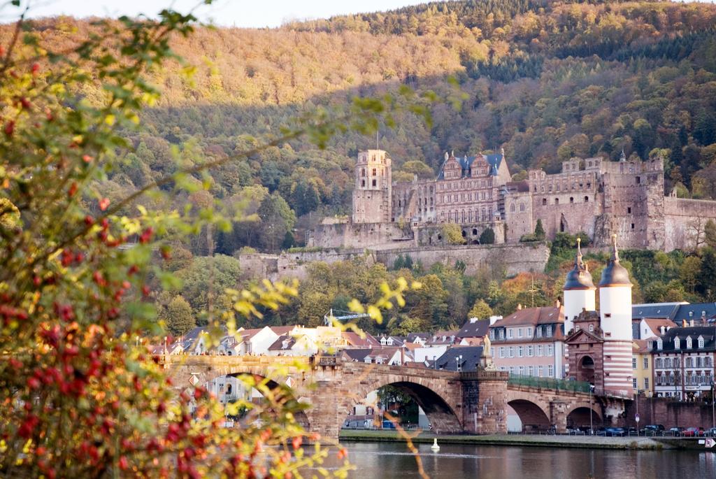 Boardinghouse Luise 5 Daire Heidelberg Dış mekan fotoğraf